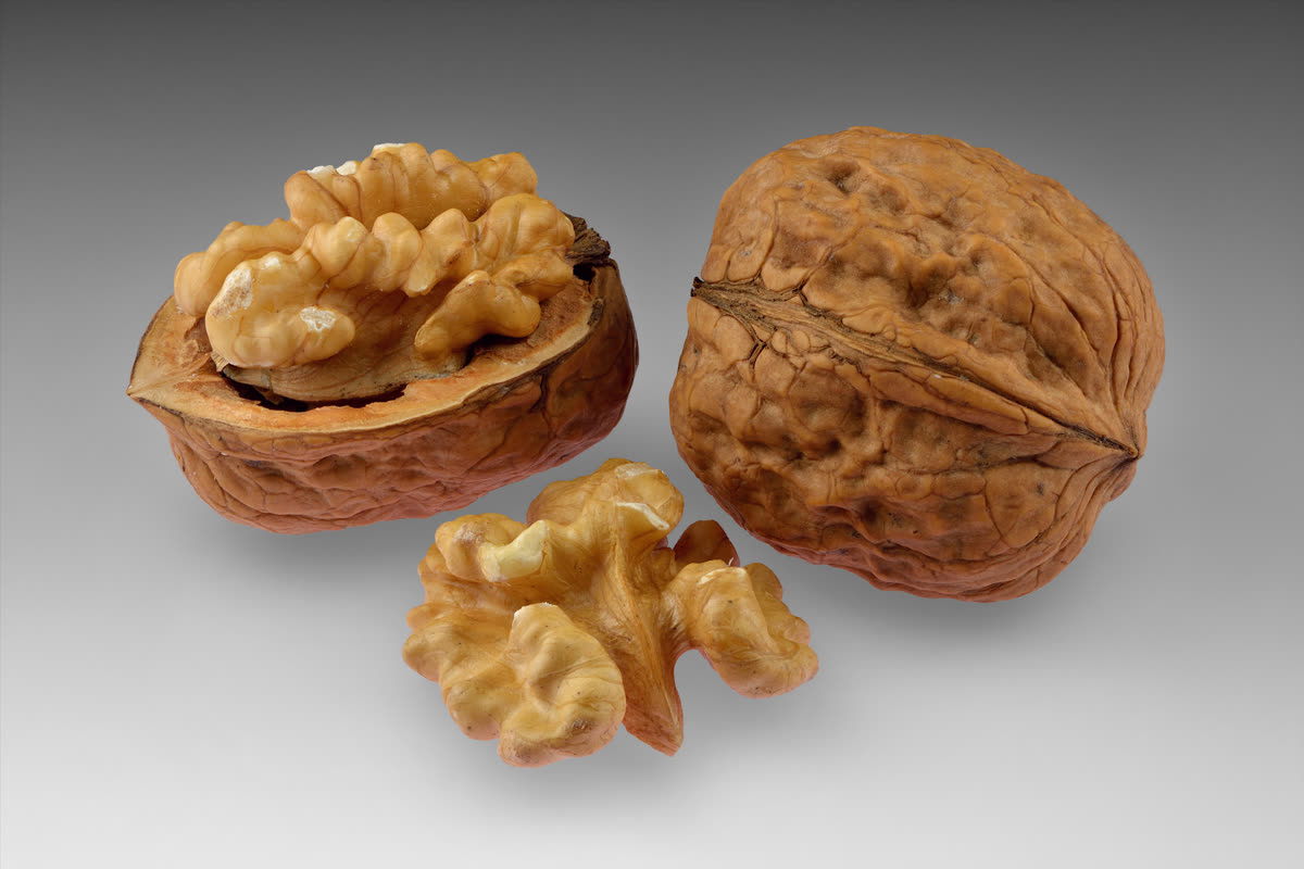 Walnuts, long associated with brain-supportive nutrients